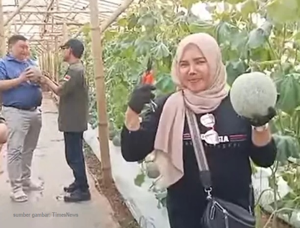 Kampung Melon Sukabumi, Wisata Edukatif Favorit Keluarga