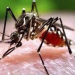 Pemprov Jabar Keluarkan Peringatan Dini DBD, Warga Diminta Waspada